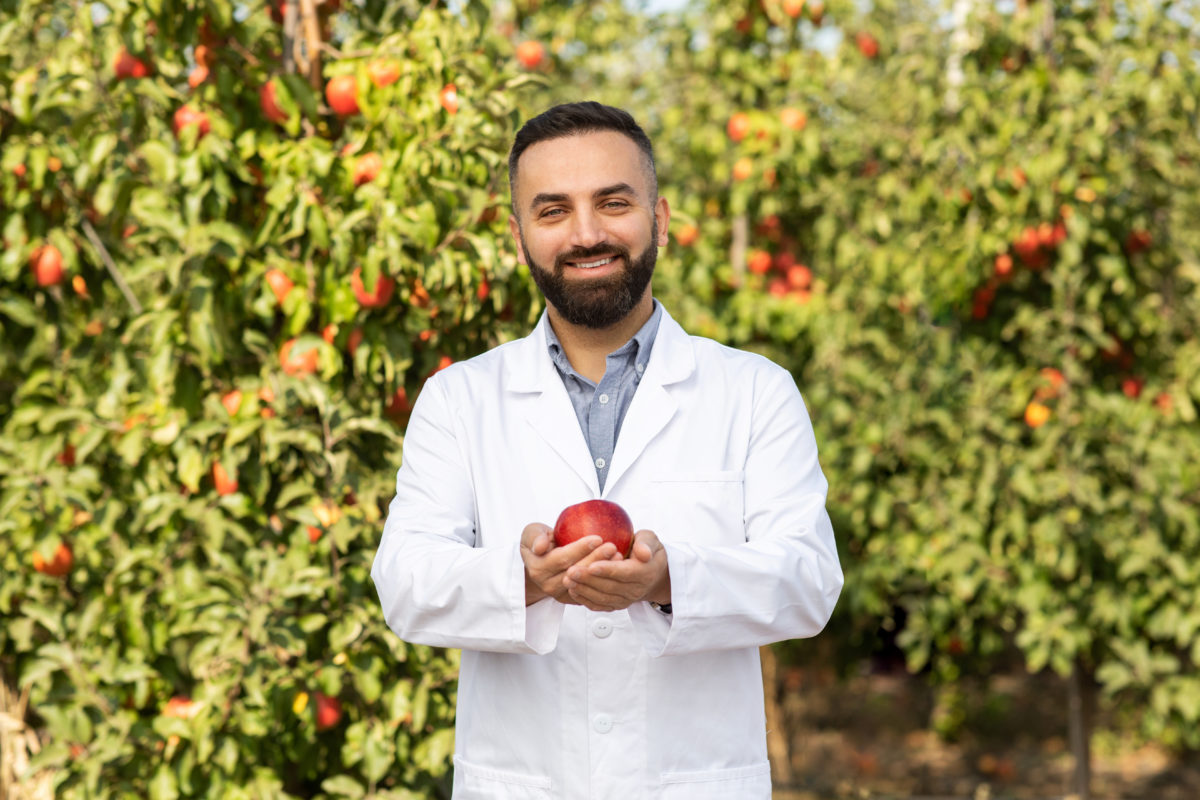 The Sorting Facility of the Future: How Advanced Technology Guarantees the Quality of European Apples